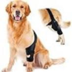 dierenaccessoires, Dieren en Toebehoren, Overige Dieren-accessoires, Nieuw, Ophalen of Verzenden, Achterpoot brace