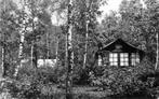 (377-718-019) Doorn Het Grote Bos, Verzamelen, Ansichtkaarten | Nederland, Verzenden, Voor 1920, Utrecht