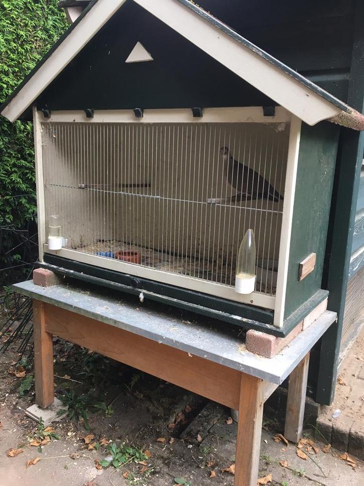 bieden: Vogelkooi, Dieren en Toebehoren, Vogels | Hokken en Kooien, Gebruikt, Vogelkooi, Hout, Ophalen
