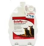 Ectofly bij myiasis, luizen en kopvliegen bij schapen., Meerdere dieren, Schaap