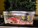 Aquarium met toebehoren, Dieren en Toebehoren, Ophalen, Zo goed als nieuw