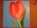 Handgeschilderd: Tulp op blauwe achtergrond (40 x 40 cm.), Ophalen, Minder dan 50 cm, Oorspronkelijke maker, Nieuw