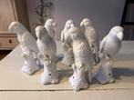 7x Pols Potten Papegaaien - Kunststof Beelden, Verzamelen, Ophalen of Verzenden, Gebruikt, Dier