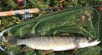 Set G 12 & Set G 13 van elk 2 Inline Baars - Snoekspinners, Watersport en Boten, Hengelsport | Roofvissen, Ophalen of Verzenden