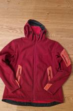 Iconische vintage softshell jas van Arcteryx (maat 42), Kleding | Dames, Ophalen of Verzenden, Zo goed als nieuw, Maat 42/44 (L)