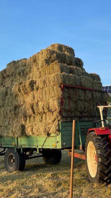 Kleine pakjes / baaltjes fijn of grof hooi te koop beschikbaar voor biedingen