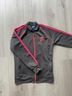 Grijs Adidas vest met roze strepen - maat M, Maat 38/40 (M), Overige typen, Grijs, Gedragen