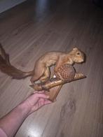 Opgezette Eekhoorn met Denappel, Ophalen