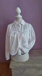 Leuk  witte broderie blouse van Zara maat S, Ophalen of Verzenden, Zo goed als nieuw, Maat 36 (S), Wit