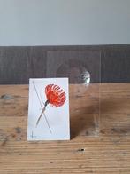 Sparenberg Design Vanishing Vase - Glashelder Kunststof, Ophalen of Verzenden, Wit, Kunststof, Minder dan 50 cm