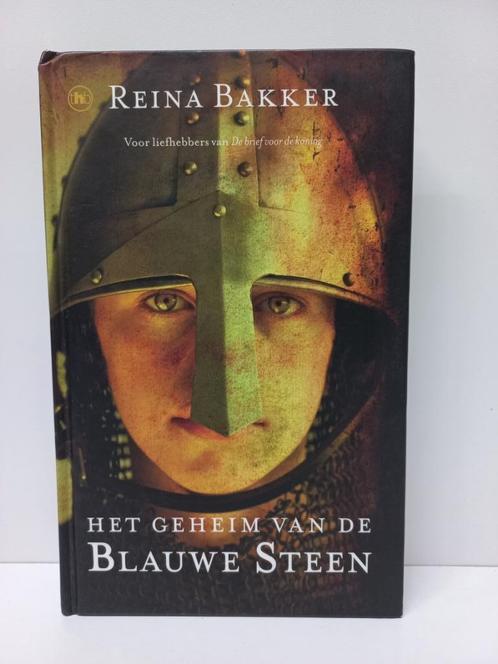 Reina Bakker - Het geheim van de Blauwe Steen, Boeken, Fantasy, Zo goed als nieuw, Ophalen of Verzenden