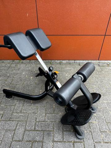 Matrix Lower Back Bench beschikbaar voor biedingen