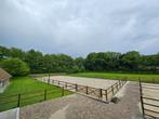 Rijbak, Paddock, Weide, Afrastering, Omheining Hout, Dieren en Toebehoren