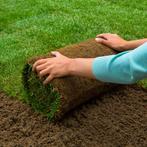 Graszoden €6 per rol per m2, Ophalen of Verzenden, Nieuw, 20 m² of meer