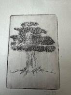 Ets Boomstudie - Gesigneerd 1979, Antiek en Kunst, Kunst | Etsen en Gravures, Ophalen of Verzenden