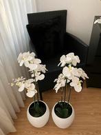 Kunst orchideen.  Bieden, Huis en Inrichting, Kamerplanten, Ophalen, Halfschaduw, Minder dan 100 cm