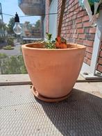 Plantenbak, Ophalen, Steen, Minder dan 60 cm, Rond