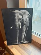Olifant schilderij, Huis en Inrichting, Woonaccessoires | Schilderijen, Tekeningen en Foto's, Ophalen, Minder dan 50 cm, Zo goed als nieuw