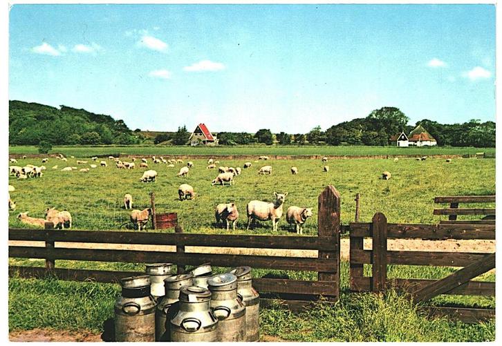 962826	Texel	1974 gel in 85	_Gelopen met mooie zegel	Piano E, Verzamelen, Ansichtkaarten | Nederland, Gelopen, Waddeneilanden