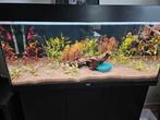juwel rio 180 met kast, Ophalen, Gebruikt, Leeg aquarium