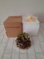 Otters, Country Artists CA04987, kunsthars 12x8x11cm, Ophalen of Verzenden, Nieuw, Wild dier, Beeldje of Figuurtje