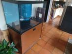 Aquarium te koop, Dieren en Toebehoren, Vissen | Aquaria en Toebehoren, Gebruikt, Ophalen, Leeg aquarium