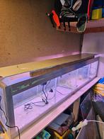 Kweekbak / Aquarium - 170x30x30 cm, Ophalen, Gebruikt