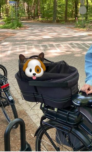 Hondenmand fiets beschikbaar voor biedingen