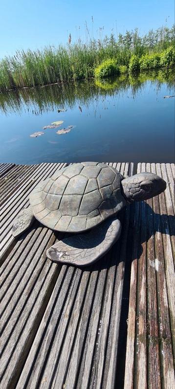 Bronzen schildpad  beschikbaar voor biedingen