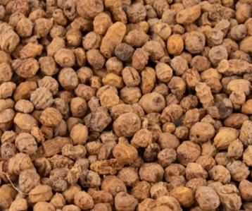 Tijgernoten 6-15mm vacuüm verpakt beschikbaar voor biedingen