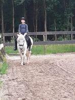Lieve rij/leerpony met veulen aan de voet. 138m 19 jaar., Dieren en Toebehoren, Merrie, 11 jaar of ouder