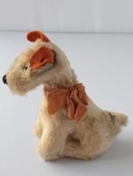 Steiff fox Terrier puppy dog  stuffe, Verzamelen, Dierenverzamelingen, Ophalen of Verzenden, Hert, Schedel