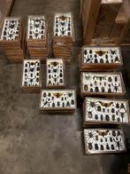 Opgezette bijzondere insecten in luxe lijsten vanaf €24,-, Verzamelen, Dierenverzamelingen, Ophalen of Verzenden, Nieuw, Insect