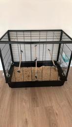 Vogelkooi, Ophalen of Verzenden, Zo goed als nieuw, Kooi, Minder dan 60 cm
