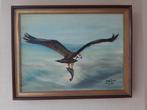 Schilderij roofvogel, Ophalen of Verzenden