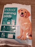 Gratis -  6 plasmatjes puppy maat XL, Dieren en Toebehoren, Ophalen, Nieuw
