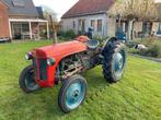 1954 Massey Ferguson TE20 Oldtimer tractor, Oldtimer, Massey Ferguson
