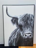 Schilderij Schotse Hooglander met zwart hoogglans frame, Huis en Inrichting, Ophalen, Zo goed als nieuw, Schilderij, 100 tot 125 cm