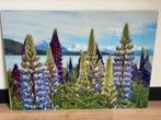 Prachtige foto op plexiglas, Huis en Inrichting, Ophalen of Verzenden, Zo goed als nieuw, Foto of Poster, 75 cm of meer