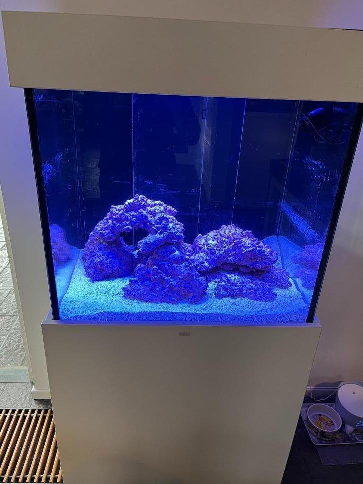 Zeewateraquarium 220 liter met toebehoren, Dieren en Toebehoren, Vissen | Aquaria en Toebehoren, Gebruikt, Leeg aquarium, Ophalen