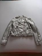 DAMES JASJE-ZILVERKLEURIG, Kleding | Dames, Overige kleuren, Maat 46/48 (XL) of groter, Ophalen of Verzenden, Zo goed als nieuw