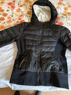 Goldbergh dames jasje zwart maat M, Ophalen of Verzenden, Zo goed als nieuw, Maat 38/40 (M), Zwart