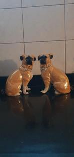 Hoerenhondjes, Ophalen of Verzenden