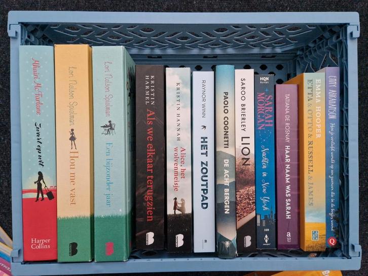 19x romans/feelgood (NL) samen €20,-, Boeken, Romans, Ophalen