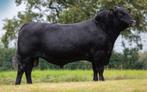 1/4 of 1/8 deel Black Angus vlees, Ophalen