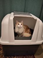Kattenbak, semi-automatisch van Catit, Dieren en Toebehoren, Kattenbakken, Ophalen, Gebruikt, Gesloten