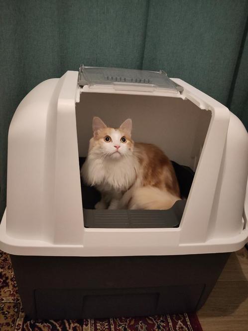 Kattenbak, semi-automatisch van Catit, Dieren en Toebehoren, Kattenbakken, Gebruikt, Gesloten, Ophalen