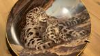 The Snow Leopard by Will Nelson, Ophalen of Verzenden