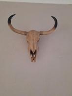 Decoratie schedel, Huis en Inrichting, Ophalen of Verzenden, Nieuw