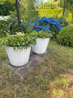 Mooie betonnen  planten vazen, Tuin en Terras, Bloempotten, Ophalen of Verzenden, Zo goed als nieuw, Rond, Minder dan 25 cm